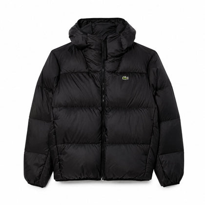 Lacoste Kurze Wasserabweisende Daunenjacke Mit Kapuze